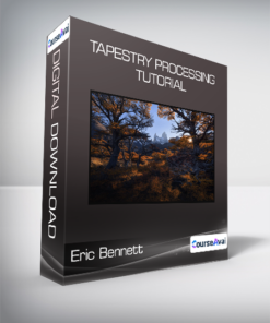 Eric Bennett - Tapestry Processing Tutorial