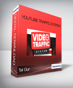 Tal Gur - YouTube Traffic System