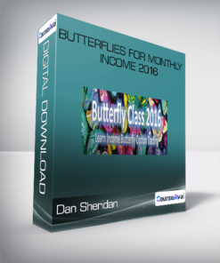 Dan Sheridan - Butterflies for monthly Income 2016