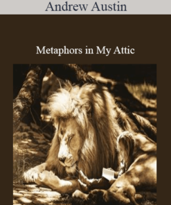 Andrew Austin - Metaphors in My Attic