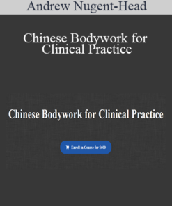 Andrew Nugent-Head – Chinese Bodywork for Clinical Practice