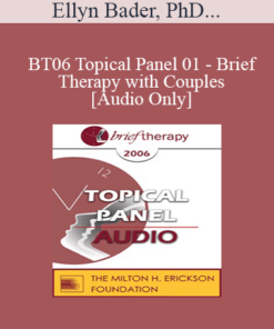 [Audio Only] BT06 Topical Panel 01 - Brief Therapy with Couples - Ellyn Bader