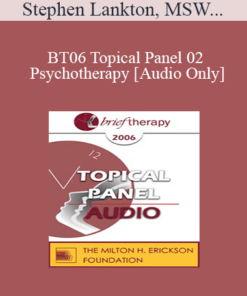 [Audio Only] BT06 Topical Panel 02 - Psychotherapy: Art or Science? - Stephen Lankton