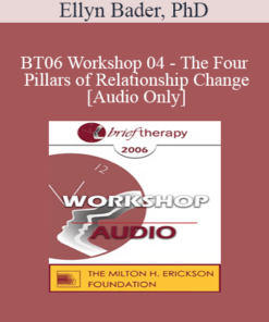 [Audio Only] BT06 Workshop 04 - The Four Pillars of Relationship Change - Ellyn Bader