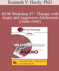 [Audio Only] BT06 Workshop 47 - Therapy with Angry and Aggressive Adolescents: A Systemic Approach Treatment - Kenneth V. Hardy