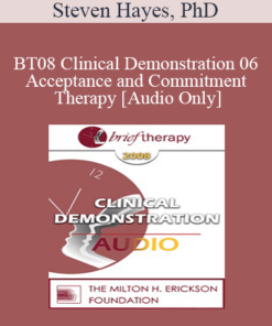 [Audio Only] BT08 Clinical Demonstration 06 - Acceptance and Commitment Therapy - Steven Hayes