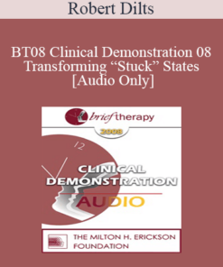 [Audio Only] BT08 Clinical Demonstration 08 - Transforming “Stuck” States - Robert Dilts