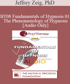 [Audio Only] BT08 Fundamentals of Hypnosis 01 - The Phenomenology of Hypnosis - Jeffrey Zeig