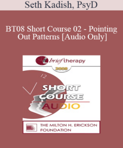 [Audio Only] BT08 Short Course 02 - Pointing Out Patterns - Seth Kadish