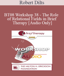 [Audio Only] BT08 Workshop 38 - The Role of Relational Fields in Brief Therapy - Robert Dilts
