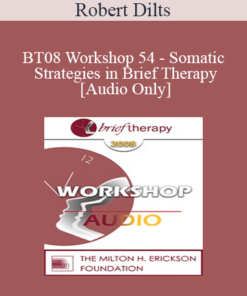 [Audio Only] BT08 Workshop 54 - Somatic Strategies in Brief Therapy - Robert Dilts