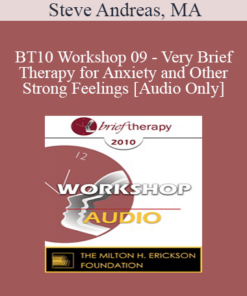 [Audio] BT10 Workshop 09 - Very Brief Therapy for Anxiety and Other Strong Feelings - Steve Andreas
