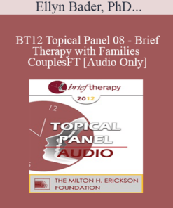 [Audio] BT12 Topical Panel 08 - Brief Therapy with Families and Couples - Ellyn Bader