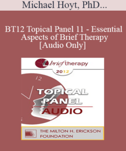 [Audio] BT12 Topical Panel 11 - Essential Aspects of Brief Therapy - Michael Hoyt