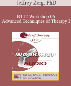 [Audio] BT12 Workshop 06 - Advanced Techniques of Therapy I: Resilience
