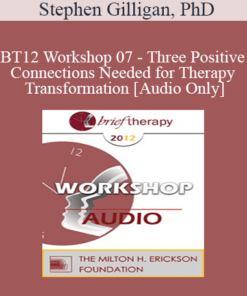 [Audio] BT12 Workshop 07 - Three Positive Connections Needed for Therapy Transformation - Stephen Gilligan