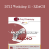 [Audio] BT12 Workshop 11 - REACH: Pushing your Clinical Effectiveness to the Next Level - Scott Miller