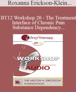 [Audio] BT12 Workshop 20 - The Treatment Interface of Chronic Pain and Substance Dependency - Roxanna Erickson-Klein
