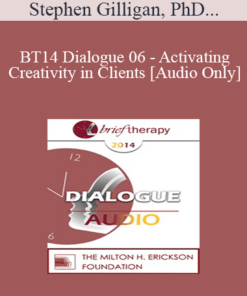 [Audio] BT14 Dialogue 06 - Activating Creativity in Clients - Stephen Gilligan