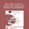 [Audio] BT14 Short Course 15 - Ericksonian Trauma Work and Memory Reconsolidation - Dan Short