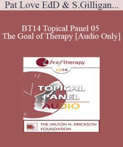 [Audio] BT14 Topical Panel 05 - The Goal of Therapy - Pat Love EdD
