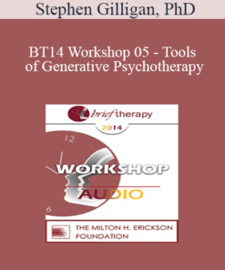 [Audio] BT14 Workshop 05 - Tools of Generative Psychotherapy: Helping Clients Develop Self-Leadership Skills - Stephen Gilligan