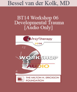 [Audio] BT14 Workshop 06 - Developmental Trauma - Bessel van der Kolk