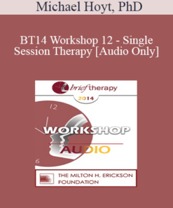[Audio] BT14 Workshop 12 - Single Session Therapy - Michael Hoyt