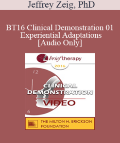 [Audio] BT16 Clinical Demonstration 01 - Experiential Adaptations - Jeffrey Zeig