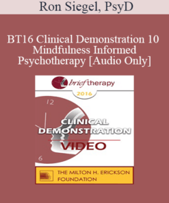 [Audio] BT16 Clinical Demonstration 10 - Mindfulness Informed Psychotherapy - Ron Siegel