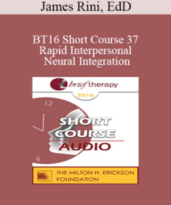 [Audio] BT16 Short Course 37 - Rapid Interpersonal Neural Integration: The Key to Quick and Lasting Change - James Rini