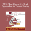 [Audio] BT18 Short Course 01 - Brief Approaches for Trauma Healing: Navigating Chaos