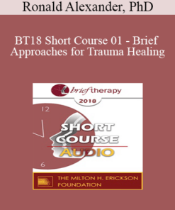 [Audio] BT18 Short Course 01 - Brief Approaches for Trauma Healing: Navigating Chaos