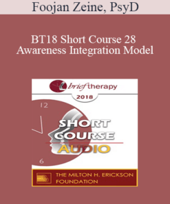 [Audio] BT18 Short Course 28 - Awareness Integration Model: Deep Integrative Psychotherapy - Foojan Zeine