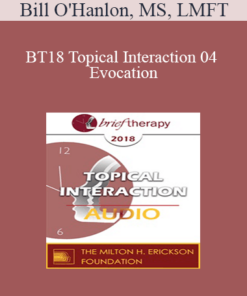 [Audio] BT18 Topical Interaction 04 - Evocation: Why Therapy Can Be Brief - Bill O'Hanlon