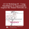 [Audio] CC16 Workshop 03 - Using Mindfulness to Experientially Explore the Neural Networks of Attachment - Rob Fisher