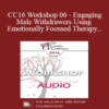 [Audio] CC16 Workshop 06 - Engaging Male Withdrawers Using Emotionally Focused Therapy - Scott Woolley