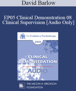 [Audio] EP05 Clinical Demonstration 08 - Clinical Supervision - David Barlow