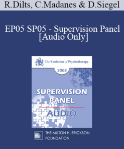 [Audio] EP05 SP05 - Supervision Panel - Robert Dilts