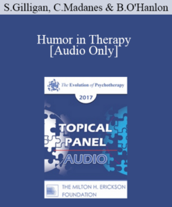 [Audio] EP17 Topical Panel 13 - Humor in Therapy - Stephen Gilligan