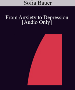 [Audio] IC07 Practice Development Workshop 08 - From Anxiety to Depression - Sofia Bauer