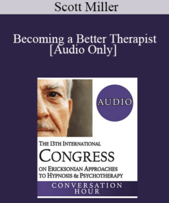 [Audio] IC19 Conversation Hour 02 - Becoming a Better Therapist - Scott Miller