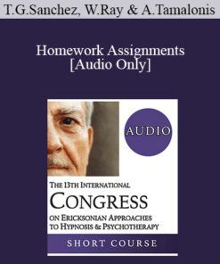 [Audio] IC19 Topical Panel 06 - Homework Assignments - Teresa Garcia-Sanchez