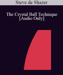 [Audio] IC88 Workshop 63 - The Crystal Ball Technique - Steve de Shazer