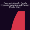 [Audio] IC92 Workshop 13a - Demonstrations I - Family Hypnotic Induction and Therapy - Camillo Loriedo