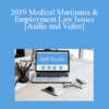 Audio and Video 2019 Medical Marijuana Employment Law Issues » Courses[GB]