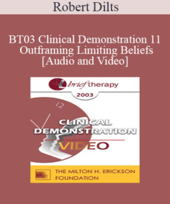 [Audio and Video] BT03 Clinical Demonstration 11 - Outframing Limiting Beliefs - Robert Dilts