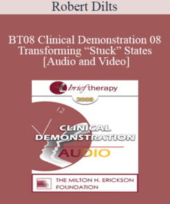 [Audio and Video] BT08 Clinical Demonstration 08 - Transforming “Stuck” States - Robert Dilts