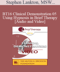 BT16 Clinical Demonstration 05 - Using Hypnosis in Brief Therapy - Stephen Lankton