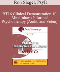 BT16 Clinical Demonstration 10 - Mindfulness Informed Psychotherapy - Ron Siegel